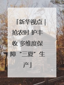 新华视点｜抢农时 护丰收 多维度保障“三夏”生产