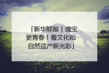 新华鲜报｜瑰宝更青春！看文化和自然遗产新光彩