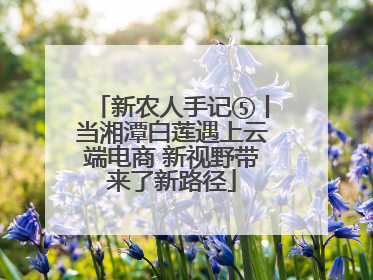 新农人手记⑤丨当湘潭白莲遇上云端电商 新视野带来了新路径