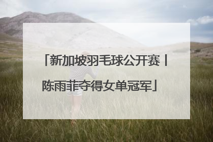 新加坡羽毛球公开赛丨陈雨菲夺得女单冠军