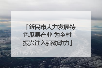 新民市大力发展特色瓜果产业 为乡村振兴注入强劲动力