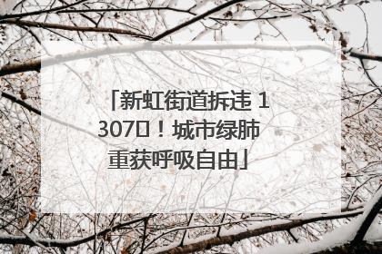 新虹街道拆违 1307㎡！城市绿肺重获呼吸自由
