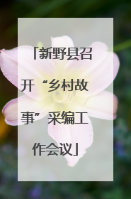 新野县召开“乡村故事”采编工作会议