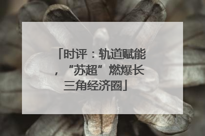 时评：轨道赋能，“苏超”燃爆长三角经济圈