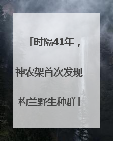 时隔41年，神农架首次发现杓兰野生种群