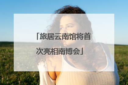旅居云南馆将首次亮相南博会