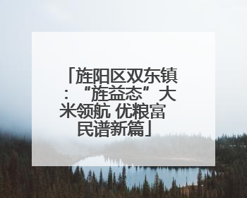旌阳区双东镇：“旌益态”大米领航 优粮富民谱新篇