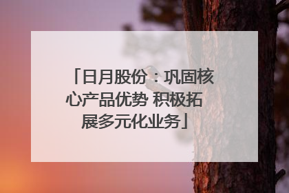 日月股份：巩固核心产品优势 积极拓展多元化业务