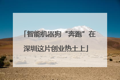 智能机器狗“奔跑”在深圳这片创业热土上
