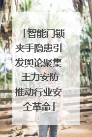 智能门锁夹手隐患引发舆论聚集 王力安防推动行业安全革命