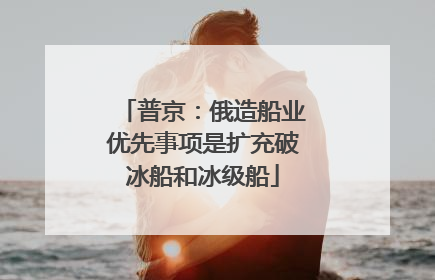 普京：俄造船业优先事项是扩充破冰船和冰级船