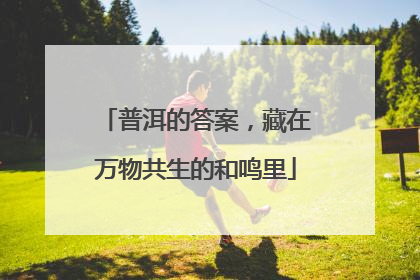 普洱的答案，藏在万物共生的和鸣里