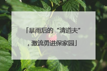 暴雨后的“清道夫”，激流勇进保家园