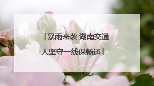 暴雨来袭 湖南交通人坚守一线保畅通