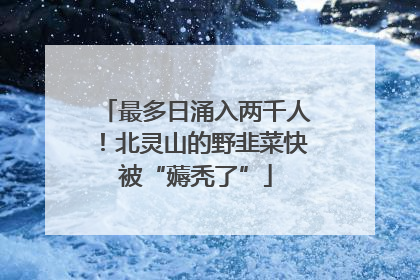 最多日涌入两千人！北灵山的野韭菜快被“薅秃了”