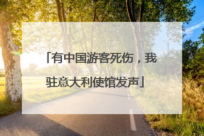 有中国游客死伤，我驻意大利使馆发声