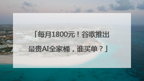 每月1800元！谷歌推出最贵AI全家桶，谁买单？
