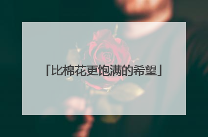 比棉花更饱满的希望