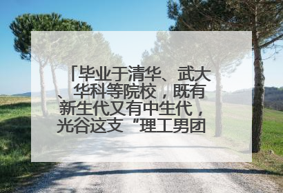 毕业于清华、武大、华科等院校，既有新生代又有中生代，光谷这支“理工男团”为何“出道”？