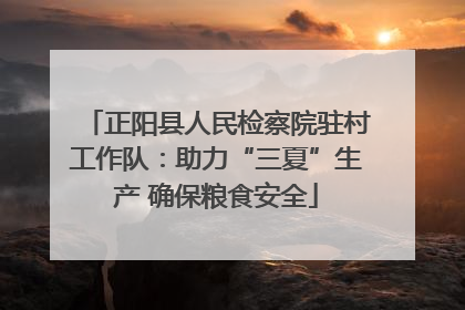 正阳县人民检察院驻村工作队：助力“三夏”生产 确保粮食安全