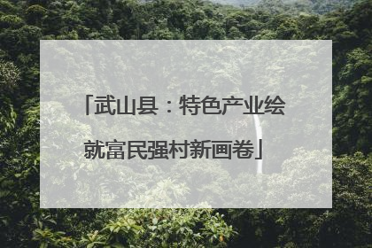 武山县：特色产业绘就富民强村新画卷