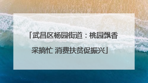 武昌区杨园街道：桃园飘香采摘忙 消费扶贫促振兴