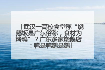 武汉一高校食堂称“烧鹅饭是广东俗称，食材为烤鸭”？广东多家烧鹅店：鸭是鸭鹅是鹅