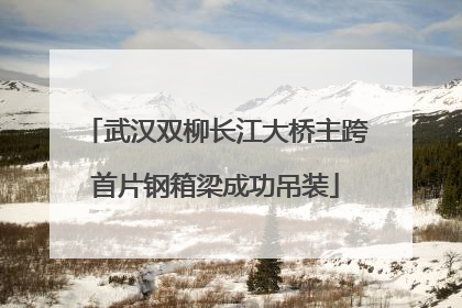 武汉双柳长江大桥主跨首片钢箱梁成功吊装