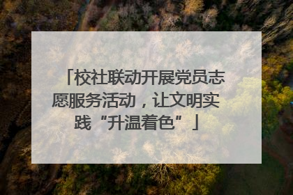 校社联动开展党员志愿服务活动，让文明实践“升温着色”
