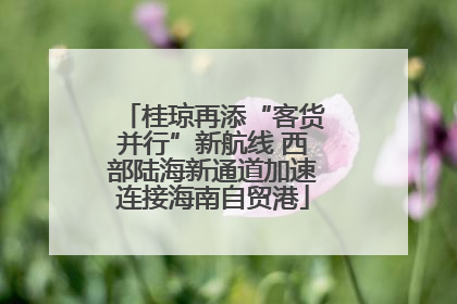 桂琼再添“客货并行”新航线 西部陆海新通道加速连接海南自贸港