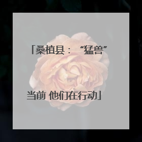 桑植县：“猛兽”当前 他们在行动