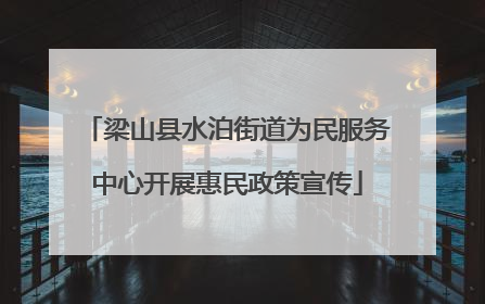 梁山县水泊街道为民服务中心开展惠民政策宣传