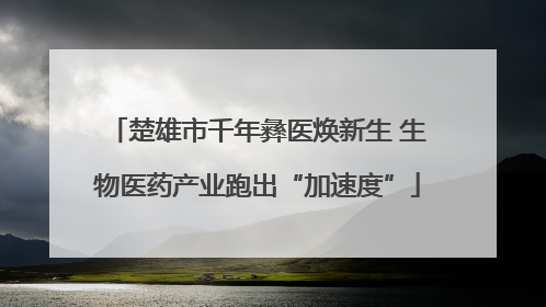 楚雄市千年彝医焕新生 生物医药产业跑出“加速度”