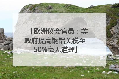 欧洲议会官员：美政府提高钢铝关税至50%毫无道理