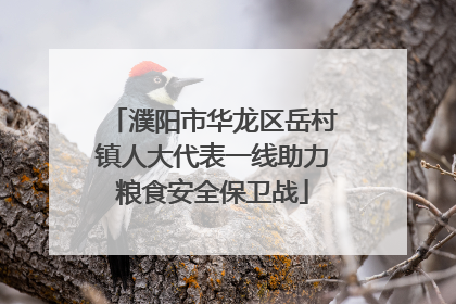 濮阳市华龙区岳村镇人大代表一线助力粮食安全保卫战