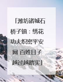 潍坊诸城石桥子镇：绣花功夫织密平安网 百姓日子越过越踏实
