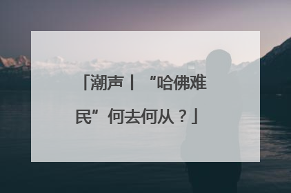 潮声丨“哈佛难民”何去何从？