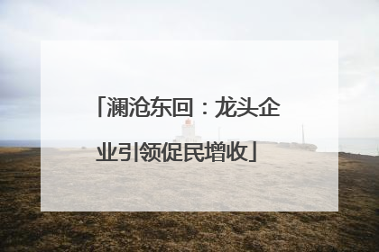 澜沧东回：龙头企业引领促民增收