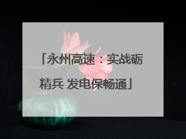 永州高速：实战砺精兵 发电保畅通