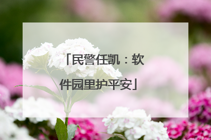 民警任凯：软件园里护平安