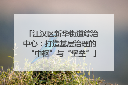 江汉区新华街道综治中心：打造基层治理的“中枢”与“堡垒”