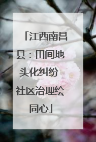 江西南昌县：田间地头化纠纷 社区治理绘同心