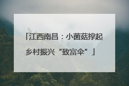江西南昌：小菌菇撑起乡村振兴“致富伞”