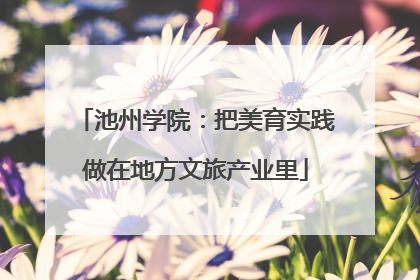 池州学院：把美育实践做在地方文旅产业里