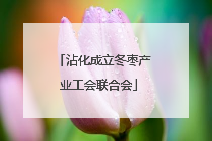 沾化成立冬枣产业工会联合会