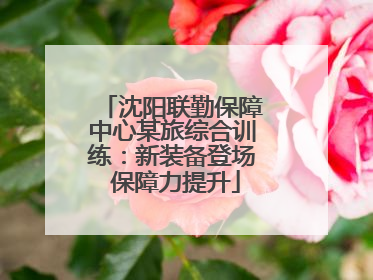 沈阳联勤保障中心某旅综合训练：新装备登场 保障力提升