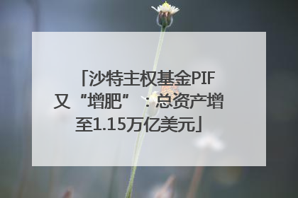 沙特主权基金PIF又“增肥”：总资产增至1.15万亿美元