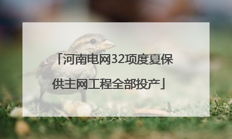 河南电网32项度夏保供主网工程全部投产