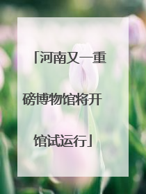 河南又一重磅博物馆将开馆试运行