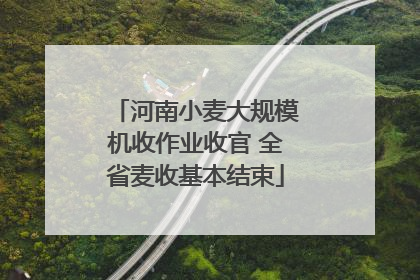 河南小麦大规模机收作业收官 全省麦收基本结束